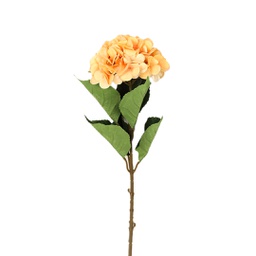 [000251] Orbit Hydrangea  flower