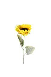 [000404] Sunny Sunflower