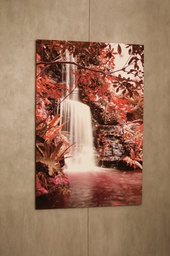 [101006] Waterfalls and Red Trees